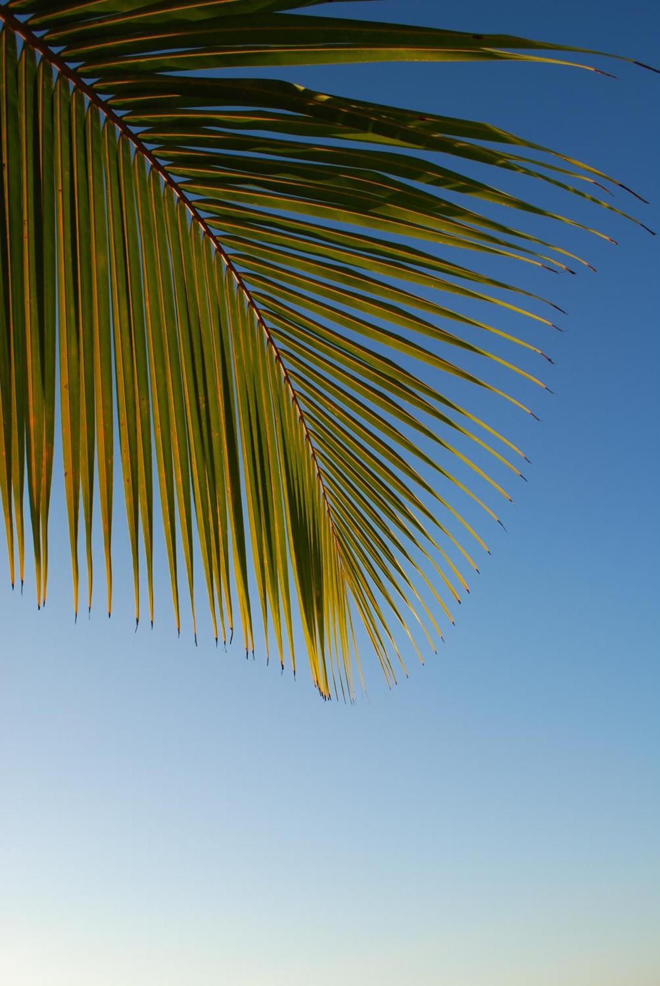 Hotel Americas San Andres Islas Colombia Zewnętrze zdjęcie